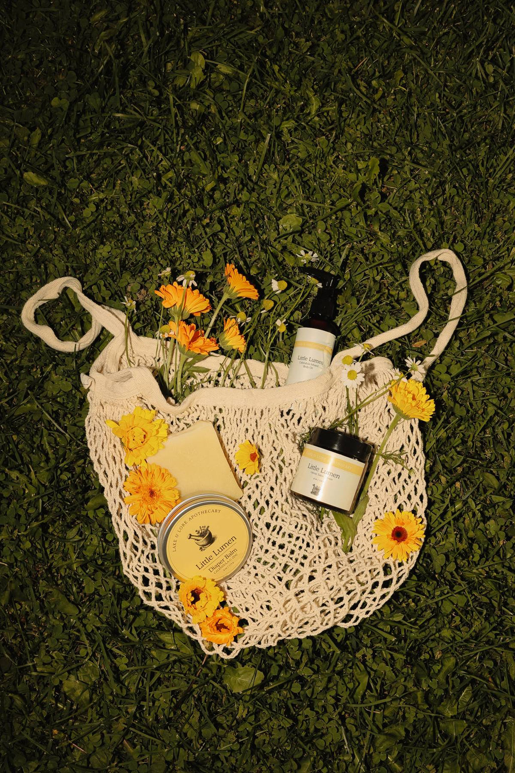 Little Lumen Calendula Infused Body Oil